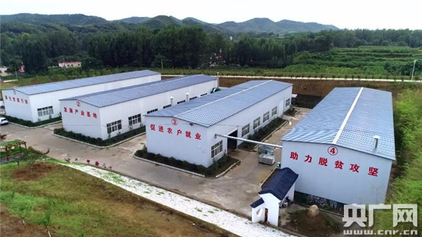 昔日綠色軍營(yíng)作標兵 今朝回鄉扶貧當“尖兵”  南召縣打響“老班長(cháng)”創(chuàng  )業(yè)帶貧品牌