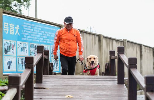 001.jpg “犬司令”的助殘夢(mèng)——退役軍人孫龍根的創(chuàng )業(yè)故事-云南能投軍創(chuàng )產(chǎn)業(yè)投資有限公司