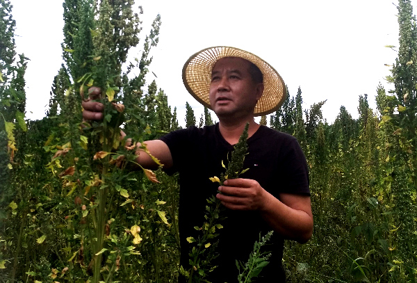 馬謙：從“愛(ài)兵模范”到“愛(ài)民書(shū)記”，扶貧路上真情依然-云南能投軍創(chuàng  )產(chǎn)業(yè)投資有限公司