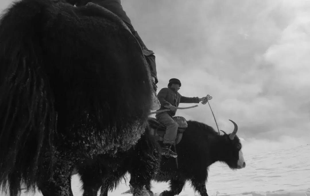 痛心！送別“帕米爾雄鷹”-云南能投軍創(chuàng  )產(chǎn)業(yè)投資有限公司