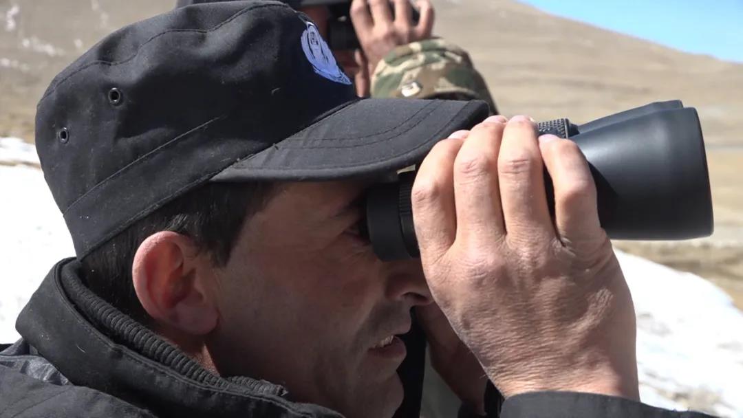 痛別“帕米爾雄鷹”！