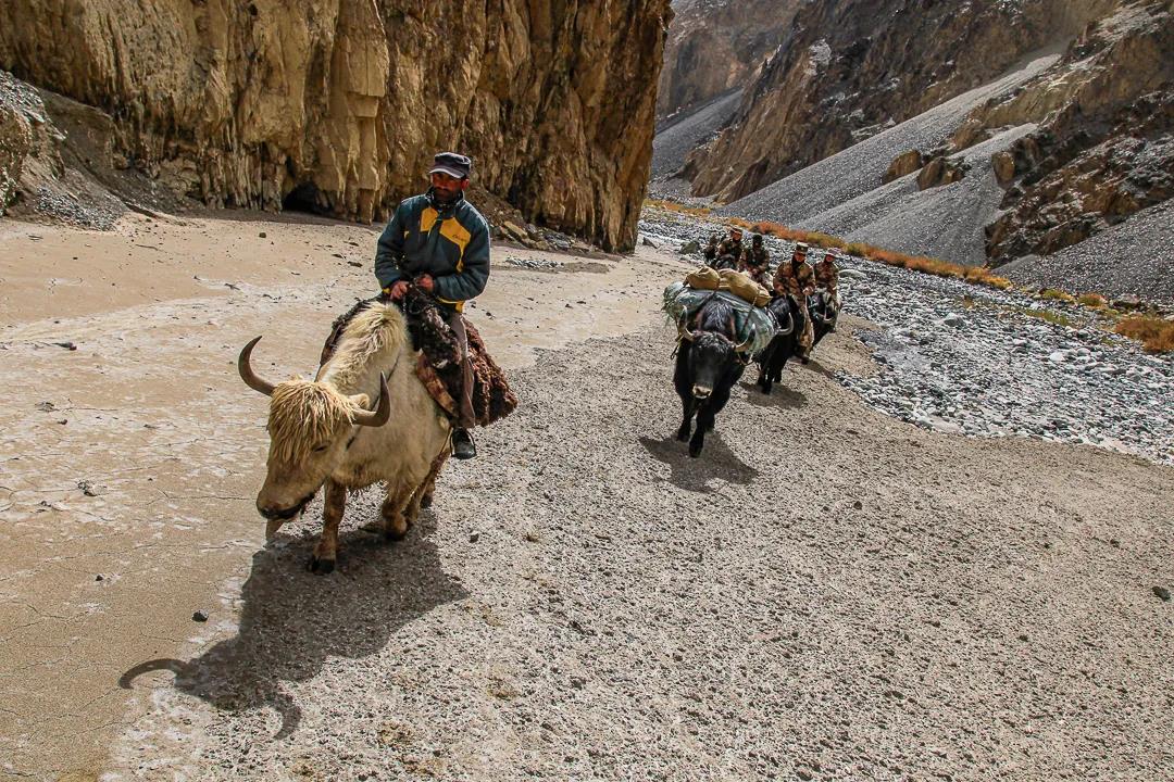 紀念我的戰友，拉齊尼·巴依卡-云南能投軍創(chuàng  )產(chǎn)業(yè)投資有限公司