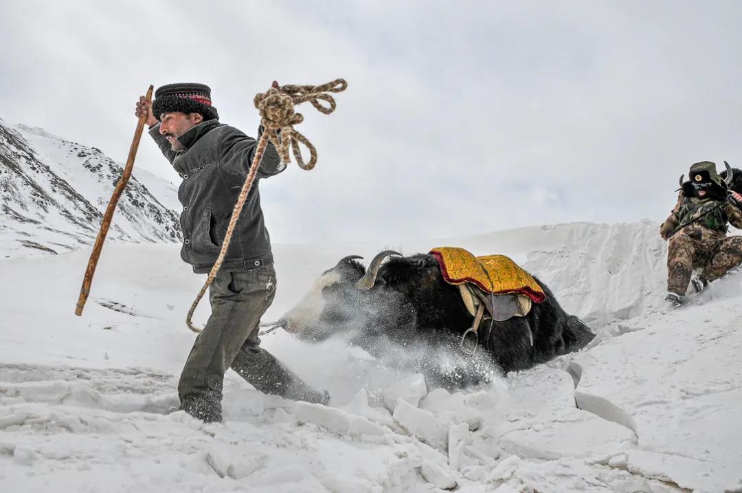 紀念我的戰友，拉齊尼·巴依卡-云南能投軍創(chuàng  )產(chǎn)業(yè)投資有限公司