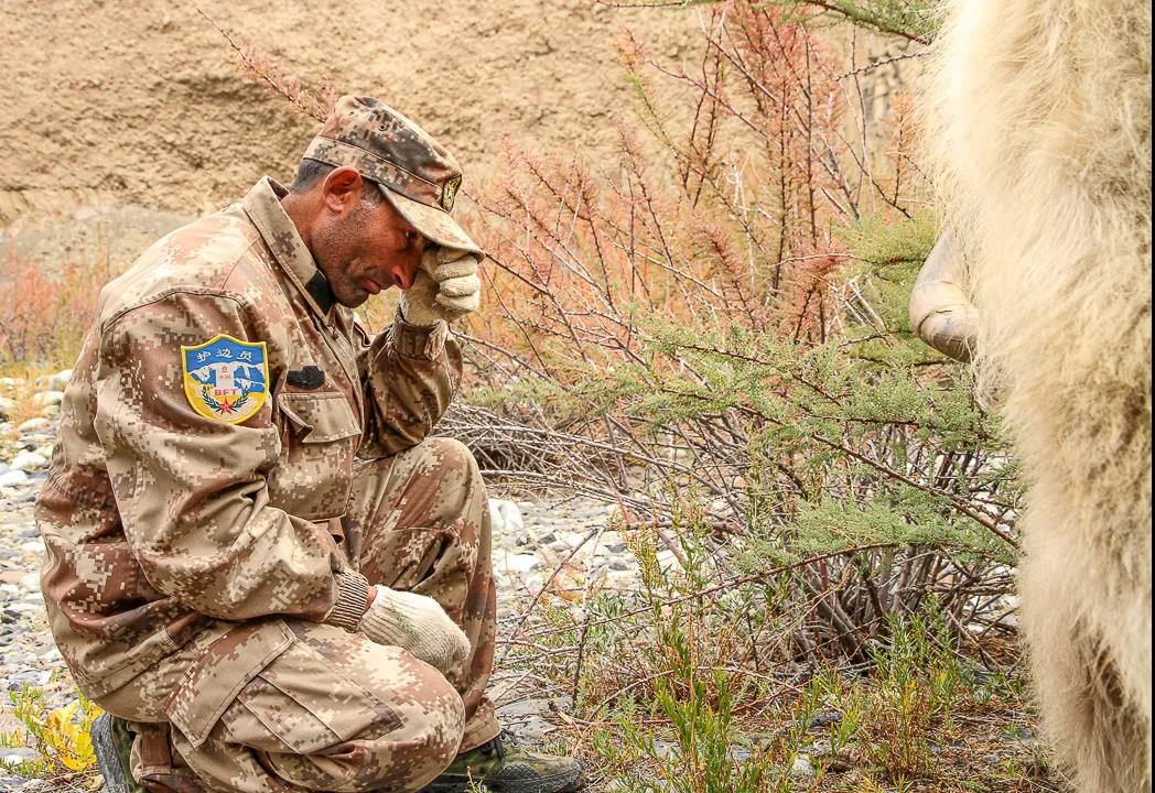 紀念我的戰友，拉齊尼·巴依卡-云南能投軍創(chuàng  )產(chǎn)業(yè)投資有限公司