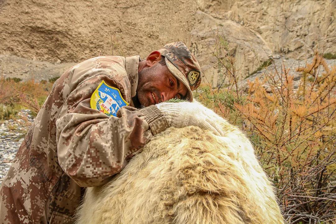 紀念我的戰友，拉齊尼·巴依卡-云南能投軍創(chuàng  )產(chǎn)業(yè)投資有限公司