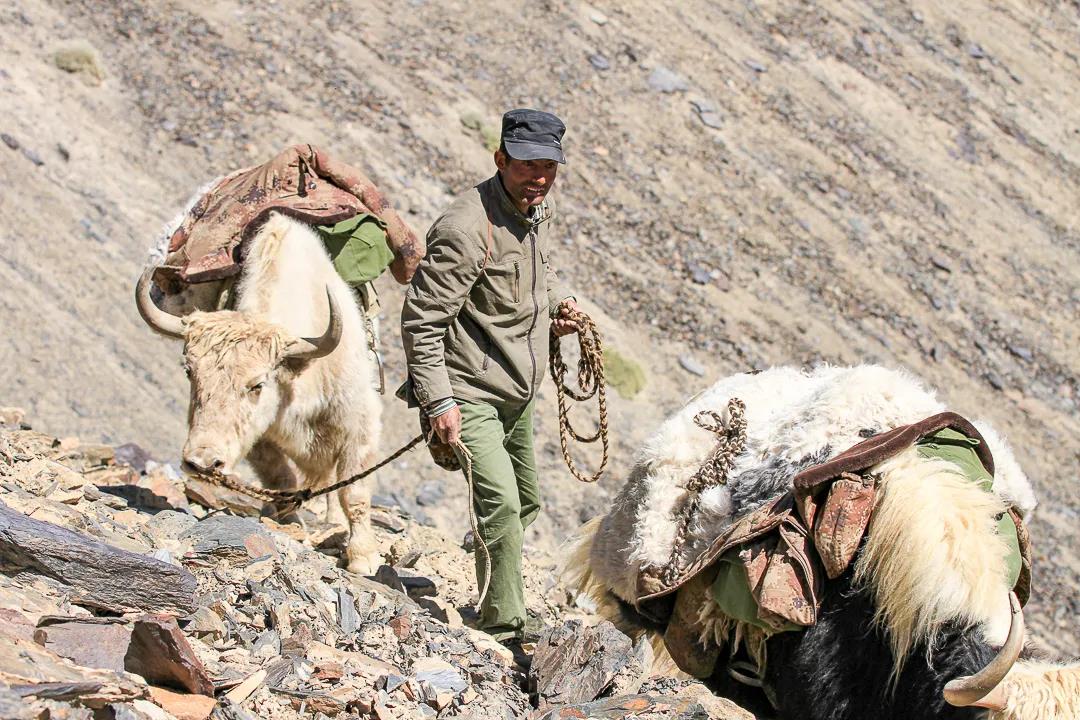 紀念我的戰友，拉齊尼·巴依卡-云南能投軍創(chuàng  )產(chǎn)業(yè)投資有限公司