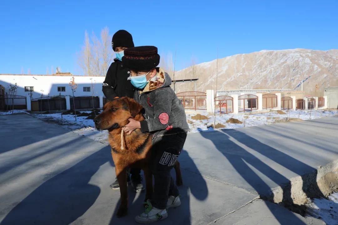 紀念我的戰友，拉齊尼·巴依卡-云南能投軍創(chuàng  )產(chǎn)業(yè)投資有限公司