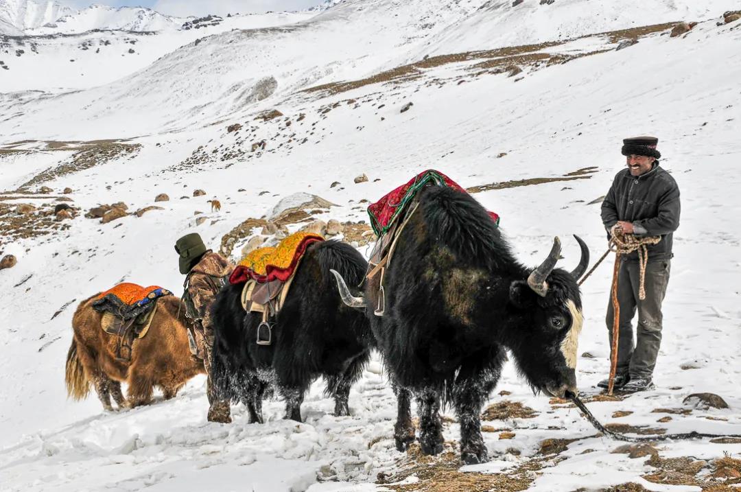 紀念我的戰友，拉齊尼·巴依卡-云南能投軍創(chuàng  )產(chǎn)業(yè)投資有限公司