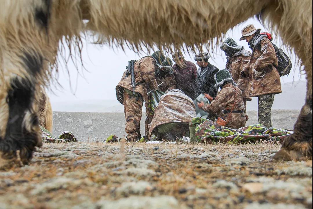 紀念我的戰友，拉齊尼·巴依卡-云南能投軍創(chuàng  )產(chǎn)業(yè)投資有限公司