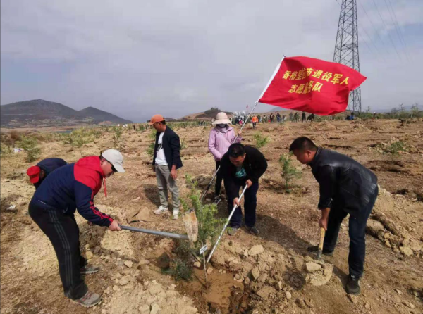 香格里拉&#32;|&#32;市退役軍人局與退役軍人志愿服務(wù)隊開(kāi)展義務(wù)植樹(shù)活動(dòng)