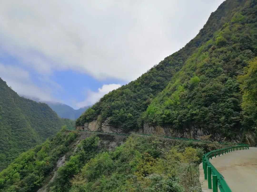陳鵬：三峽之巔，書(shū)寫(xiě)忠誠