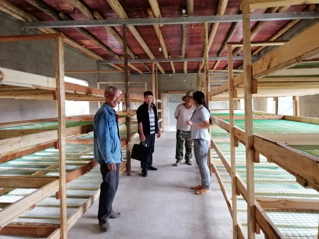 陳鵬：三峽之巔，書(shū)寫(xiě)忠誠