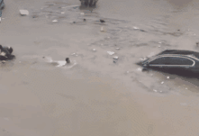 退役不褪色，暴雨中，這些退役軍人真給力