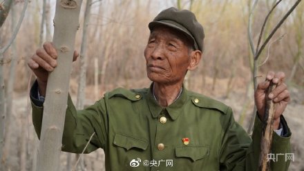 86歲老兵義務(wù)植樹(shù)60余載守護綠水青山