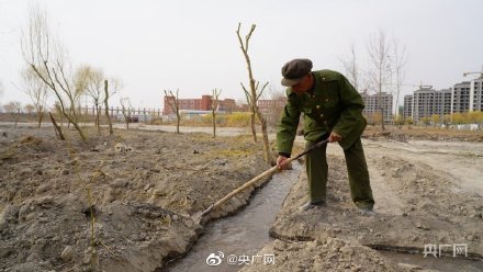 86歲老兵義務(wù)植樹(shù)60余載守護綠水青山