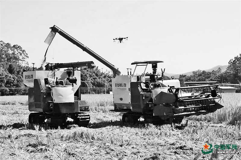 退役軍人鐘志強的鄉村振興路：新農人的領(lǐng)頭雁