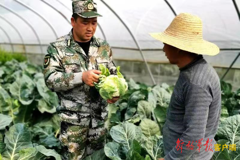帶領(lǐng)鄉親走向共同富裕，民兵營(yíng)長(cháng)陳仁濤真情奉獻百姓間-云南能投軍創(chuàng  )產(chǎn)業(yè)投資有限公司
