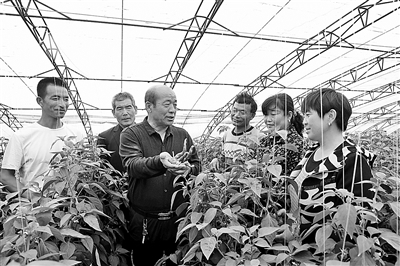 72.jpeg “兵支書(shū)”李志剛帶領(lǐng)鄉親致富——
鹽堿地變成“聚寶盆”-云南能投軍創(chuàng )產(chǎn)業(yè)投資有限公司