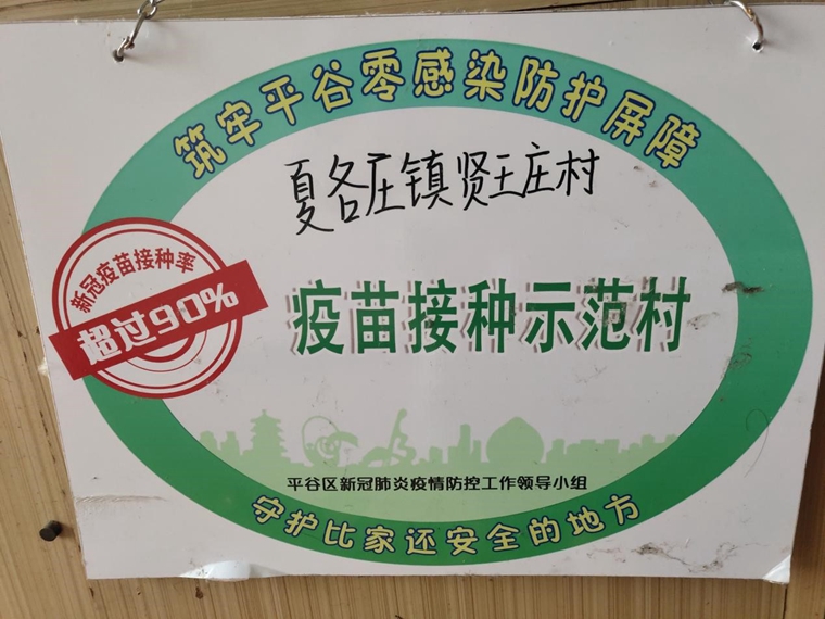 傳統小村落如何升級？這位兵支書(shū)的方法獨“薯”一幟！