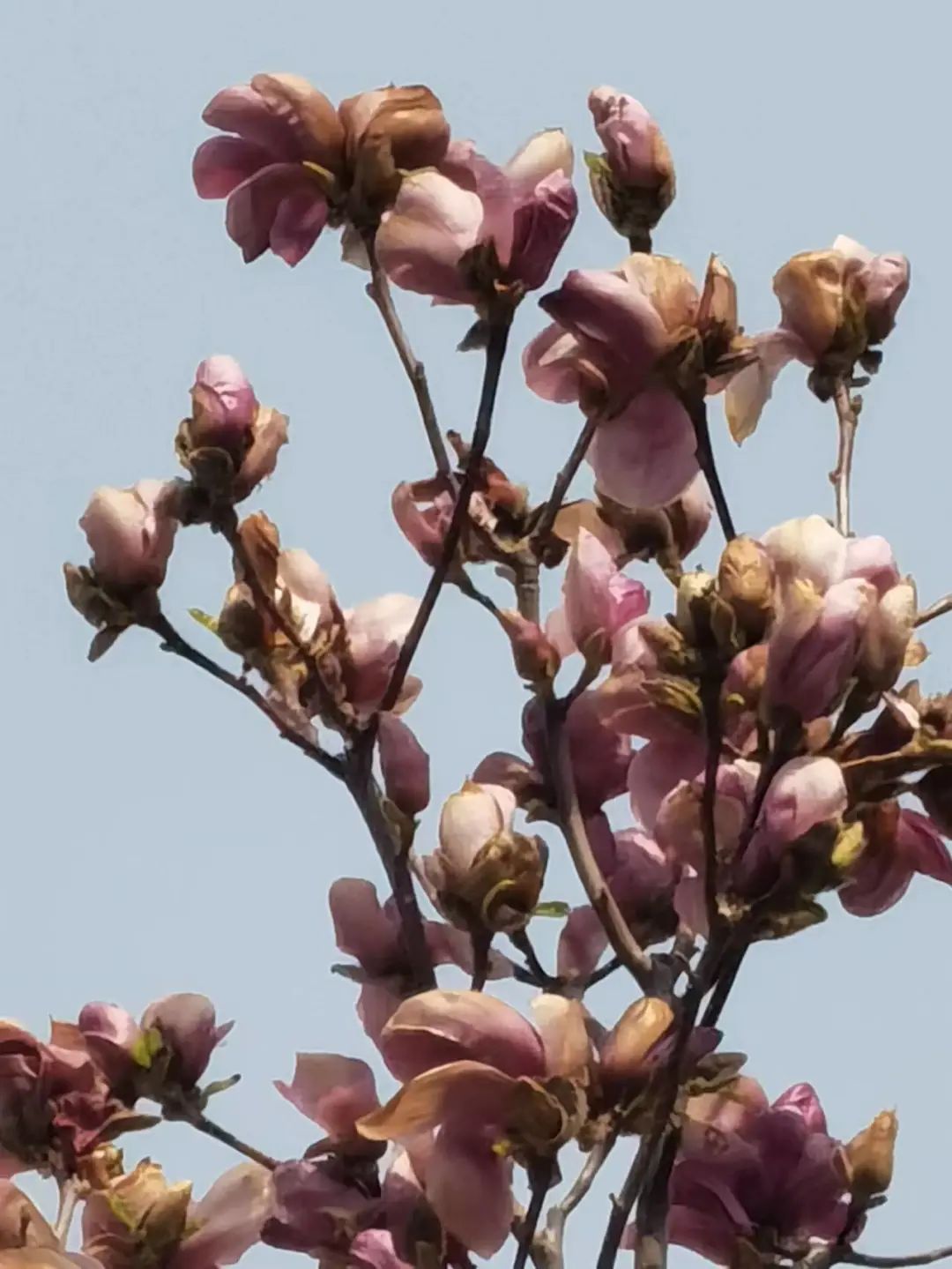 3.jpeg 我們的好鄰居王樹(shù)聲大將-云南能投軍創(chuàng )產(chǎn)業(yè)投資有限公司