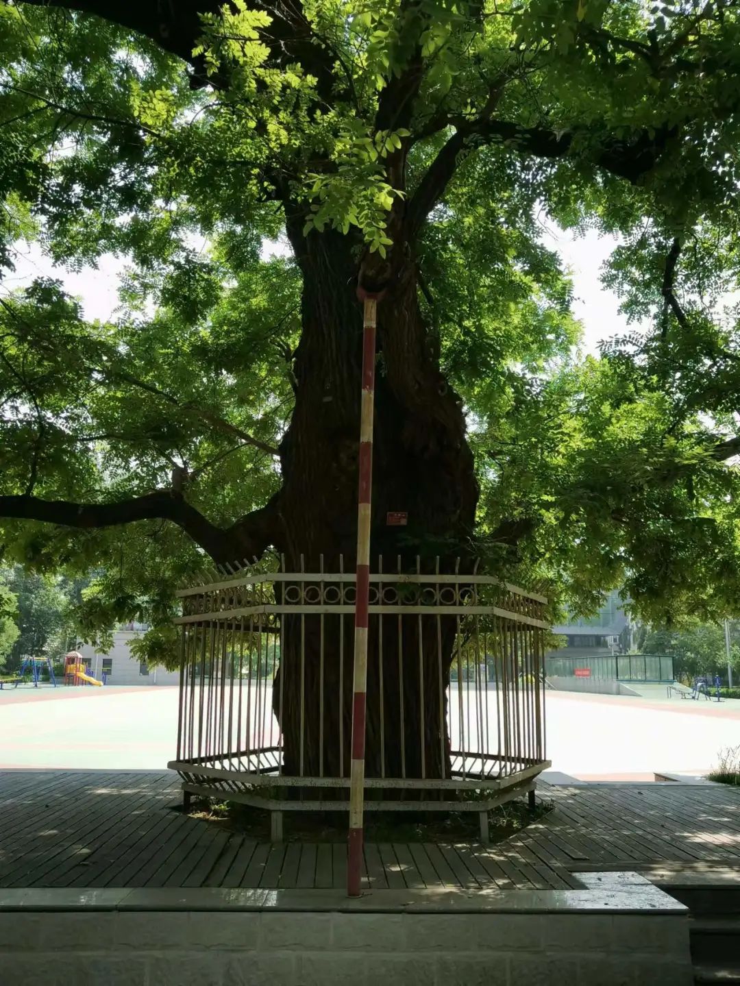 5.jpeg 我們的好鄰居王樹(shù)聲大將-云南能投軍創(chuàng )產(chǎn)業(yè)投資有限公司