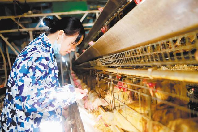 了不起！這群退役女兵在平凡崗位上做出了不平凡的業(yè)績(jì)