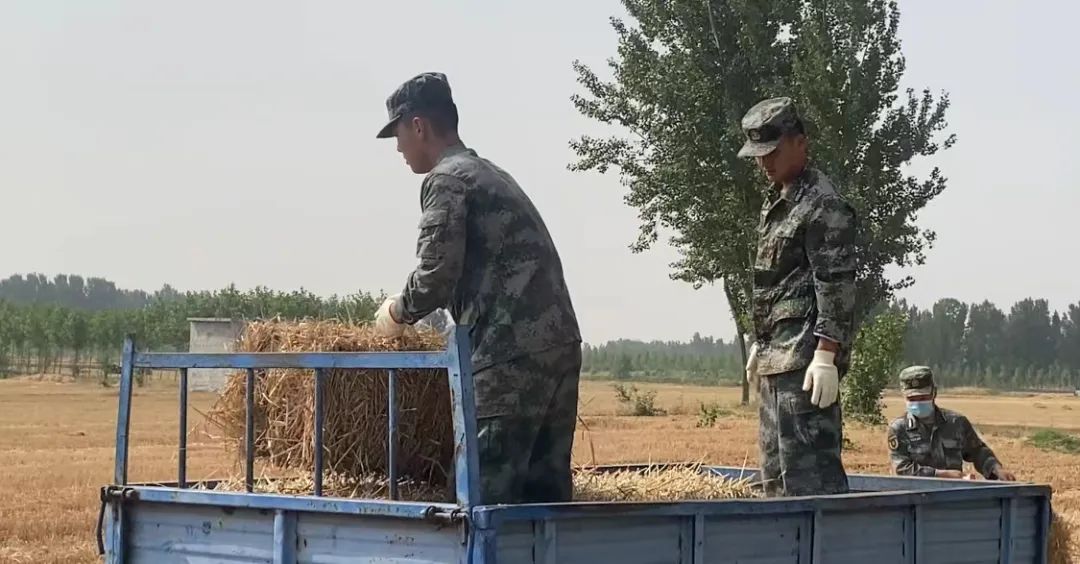 肖思遠父母為啥偷偷收麥子？真相是……