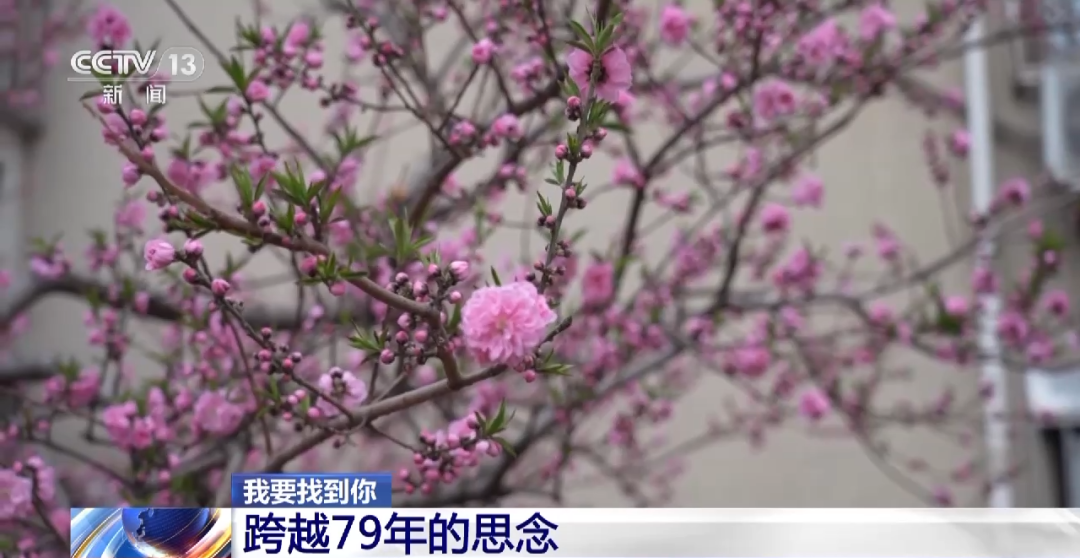 640 (17).png 我要找到你丨一段跨越79年的思念-云南能投軍創(chuàng )產(chǎn)業(yè)投資有限公司