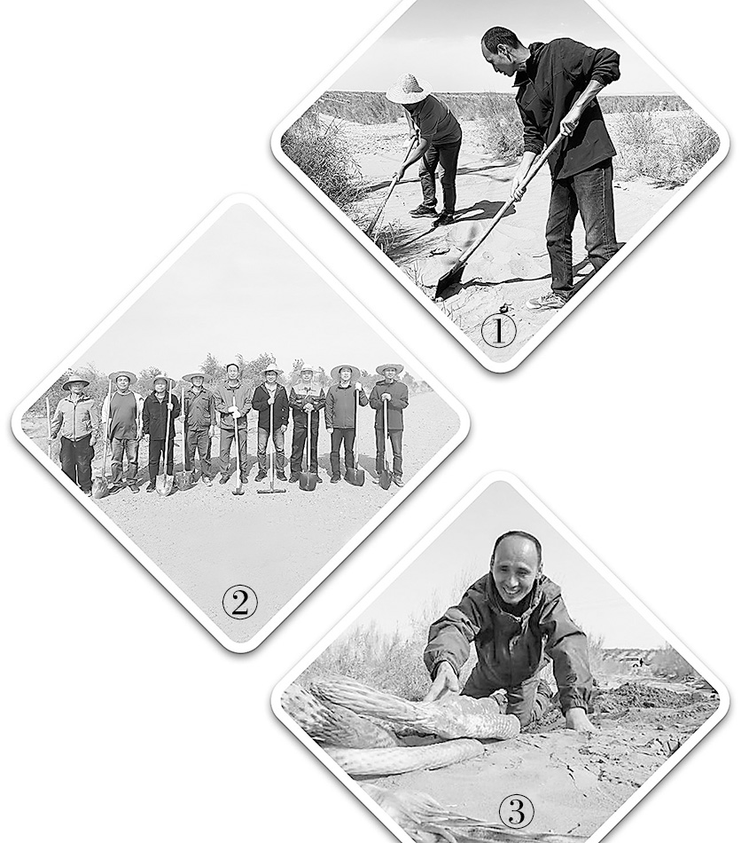 誓將荒漠變綠洲——沙海里，有群“播綠”的老兵