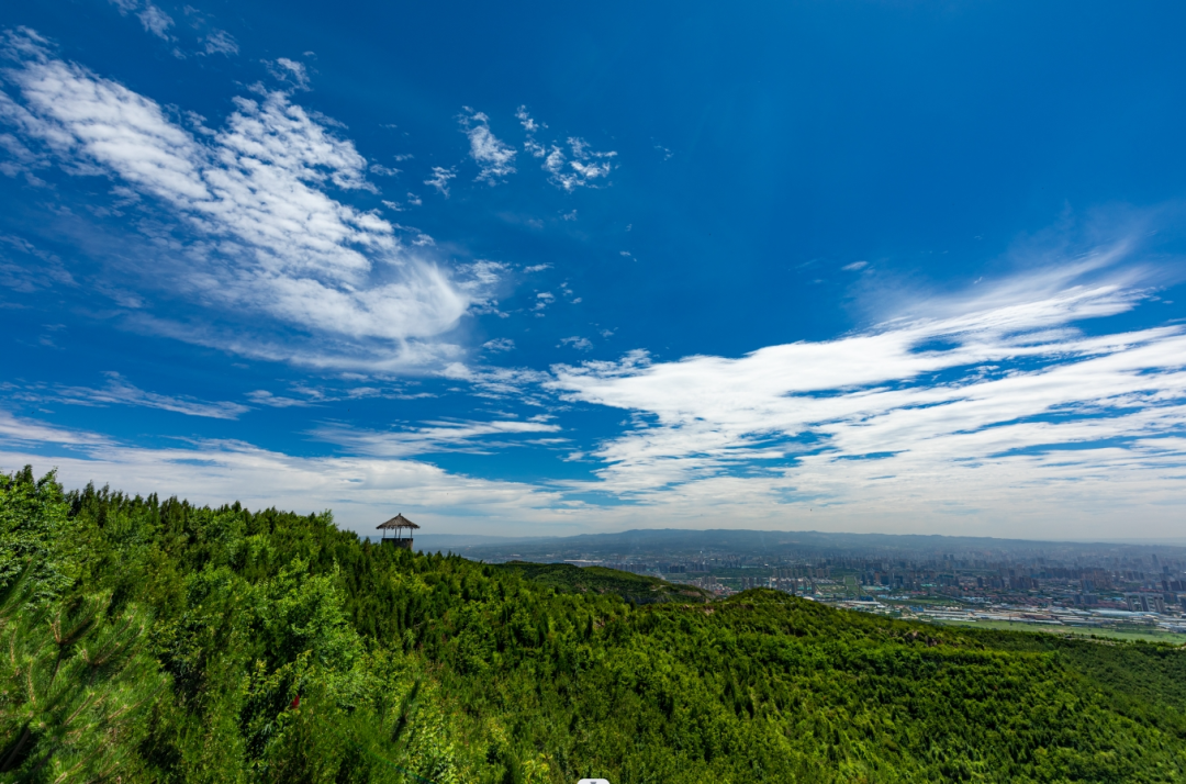 解放軍報：一個(gè)人，一座山，一片綠——記老兵張俊平-云南能投軍創(chuàng  )產(chǎn)業(yè)投資有限公司