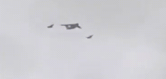 新華社：老師，那是什么？-云南能投軍創(chuàng  )產(chǎn)業(yè)投資有限公司