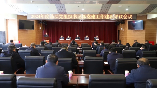 省退役軍人事務(wù)廳召開(kāi)2024年度基層黨組織書(shū)記抓黨建工作述職評議和領(lǐng)導干部述職述責述廉會(huì )議-云南能投軍創(chuàng  )產(chǎn)業(yè)投資有限公司